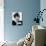 The Apartment-null-Mounted Photo displayed on a wall