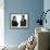 The Apartment-null-Framed Photo displayed on a wall