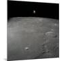 The Apollo 12 Lunar Module Intrepid Is Set in a Lunar Landing Configuration-null-Mounted Photographic Print