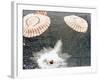 The Apollo 15 Capsule Lands Safely Despite a Parachute Failure, Mid-Pacific Ocean, 1971-null-Framed Photographic Print