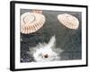 The Apollo 15 Capsule Lands Safely Despite a Parachute Failure, Mid-Pacific Ocean, 1971-null-Framed Photographic Print