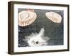 The Apollo 15 Capsule Lands Safely Despite a Parachute Failure, Mid-Pacific Ocean, 1971-null-Framed Photographic Print