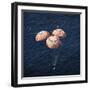 The Apollo 16 Command Module Approaching Touchdown in the Central Pacific Ocean-Stocktrek Images-Framed Photographic Print
