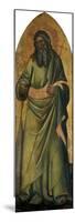The Apostle Andrew, C.1370-Andrea Di Bonaiuto-Mounted Premium Giclee Print