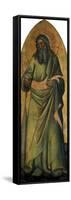 The Apostle Andrew, C.1370-Andrea Di Bonaiuto-Framed Stretched Canvas