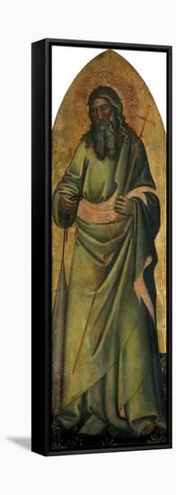The Apostle Andrew, C.1370-Andrea Di Bonaiuto-Framed Stretched Canvas