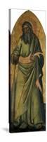 The Apostle Andrew, C.1370-Andrea Di Bonaiuto-Stretched Canvas