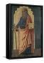 The Apostle Paul, 1488-null-Framed Stretched Canvas