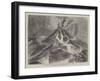 The Appearance of Vesuvius on the Night of the 23 August-null-Framed Giclee Print