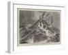 The Appearance of Vesuvius on the Night of the 23 August-null-Framed Giclee Print