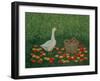 The Apple Basket-Ditz-Framed Giclee Print