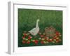 The Apple Basket-Ditz-Framed Giclee Print