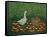 The Apple Basket-Ditz-Framed Stretched Canvas