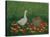 The Apple Basket-Ditz-Stretched Canvas