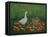 The Apple Basket-Ditz-Framed Stretched Canvas