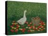 The Apple Basket-Ditz-Stretched Canvas