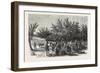 The Apple Harvest in Jersey, 1865-null-Framed Giclee Print