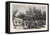 The Apple Harvest in Jersey, 1865-null-Framed Stretched Canvas