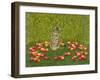 The Apple-Mouse-Ditz-Framed Giclee Print