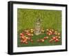 The Apple-Mouse-Ditz-Framed Giclee Print