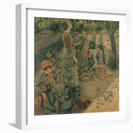 The Apple Pickers, 1886-Camille Pissarro-Framed Giclee Print