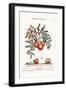 The Apple-Service, 1749-73-George Edwards-Framed Giclee Print