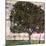 The Apple Tree, 1916-Gustav Klimt-Mounted Giclee Print
