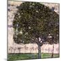 The Apple Tree, 1916-Gustav Klimt-Mounted Giclee Print