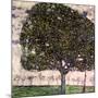 The Apple Tree, 1916-Gustav Klimt-Mounted Giclee Print