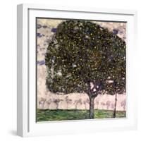 The Apple Tree, 1916-Gustav Klimt-Framed Giclee Print