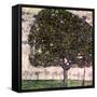 The Apple Tree, 1916-Gustav Klimt-Framed Stretched Canvas