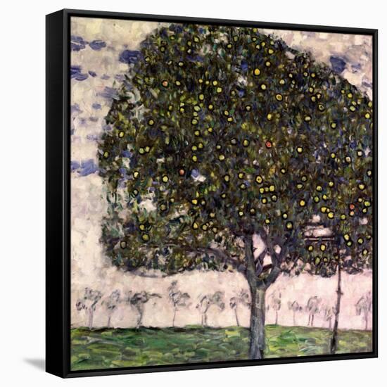 The Apple Tree, 1916-Gustav Klimt-Framed Stretched Canvas