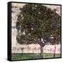 The Apple Tree, 1916-Gustav Klimt-Framed Stretched Canvas