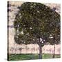 The Apple Tree, 1916-Gustav Klimt-Stretched Canvas