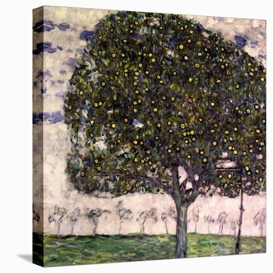 The Apple Tree, 1916-Gustav Klimt-Stretched Canvas