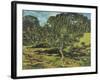 The Apple Tree, 1990-Margaret Hartnett-Framed Giclee Print