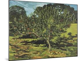 The Apple Tree, 1990-Margaret Hartnett-Mounted Giclee Print