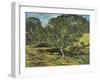 The Apple Tree, 1990-Margaret Hartnett-Framed Giclee Print