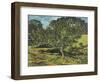 The Apple Tree, 1990-Margaret Hartnett-Framed Giclee Print