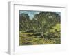 The Apple Tree, 1990-Margaret Hartnett-Framed Giclee Print