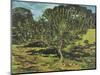 The Apple Tree, 1990-Margaret Hartnett-Mounted Giclee Print