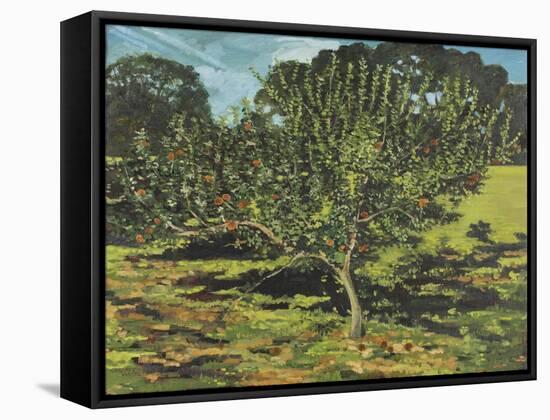 The Apple Tree, 1990-Margaret Hartnett-Framed Stretched Canvas