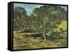 The Apple Tree, 1990-Margaret Hartnett-Framed Stretched Canvas