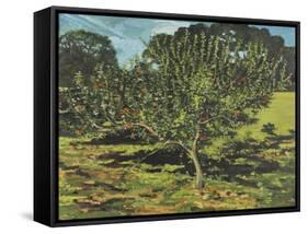 The Apple Tree, 1990-Margaret Hartnett-Framed Stretched Canvas