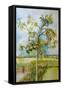 The Apple Tree,2001-Joan Thewsey-Framed Stretched Canvas