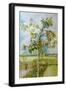 The Apple Tree,2001-Joan Thewsey-Framed Giclee Print
