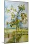 The Apple Tree,2001-Joan Thewsey-Mounted Giclee Print