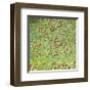 The Apple Tree-Gustav Klimt-Framed Art Print
