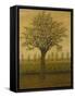 The Appletree; Le Pommier-Albijn van den Abeele-Framed Stretched Canvas