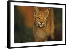 The Approach-Staffan Widstrand-Framed Giclee Print